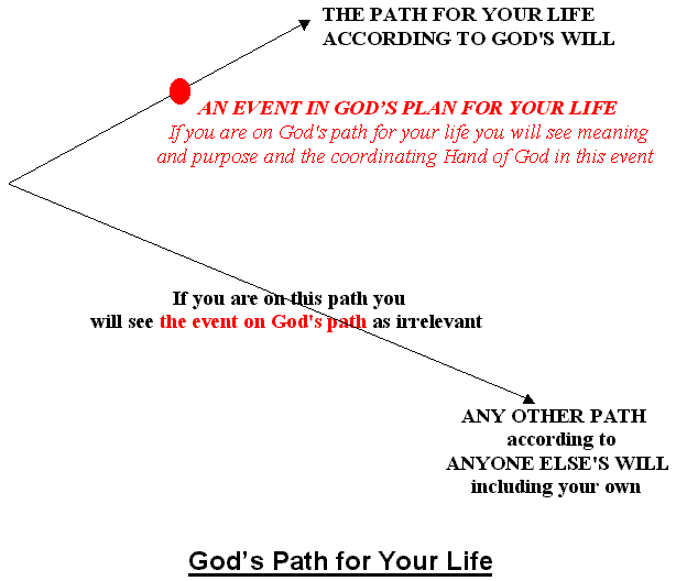 God's Path for Your Life