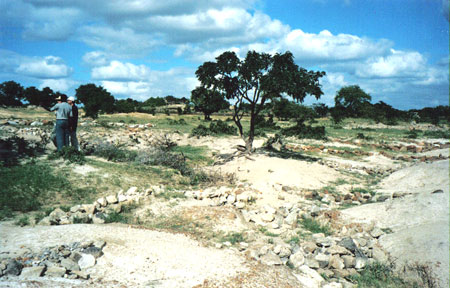 land rehabilitation in Matabeleland South