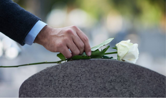 A hand laying a white rose on a tombstone