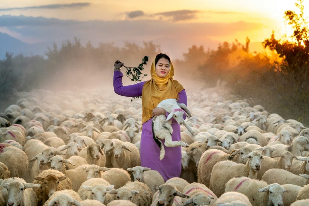 An Asian woman in a purple frock with a yellow head wrap stands in the middle of a large flock of sheep, holding one against her body with her left arm while she lifts up a small branch in her right hand. Behind her shoulder the sun is rising.